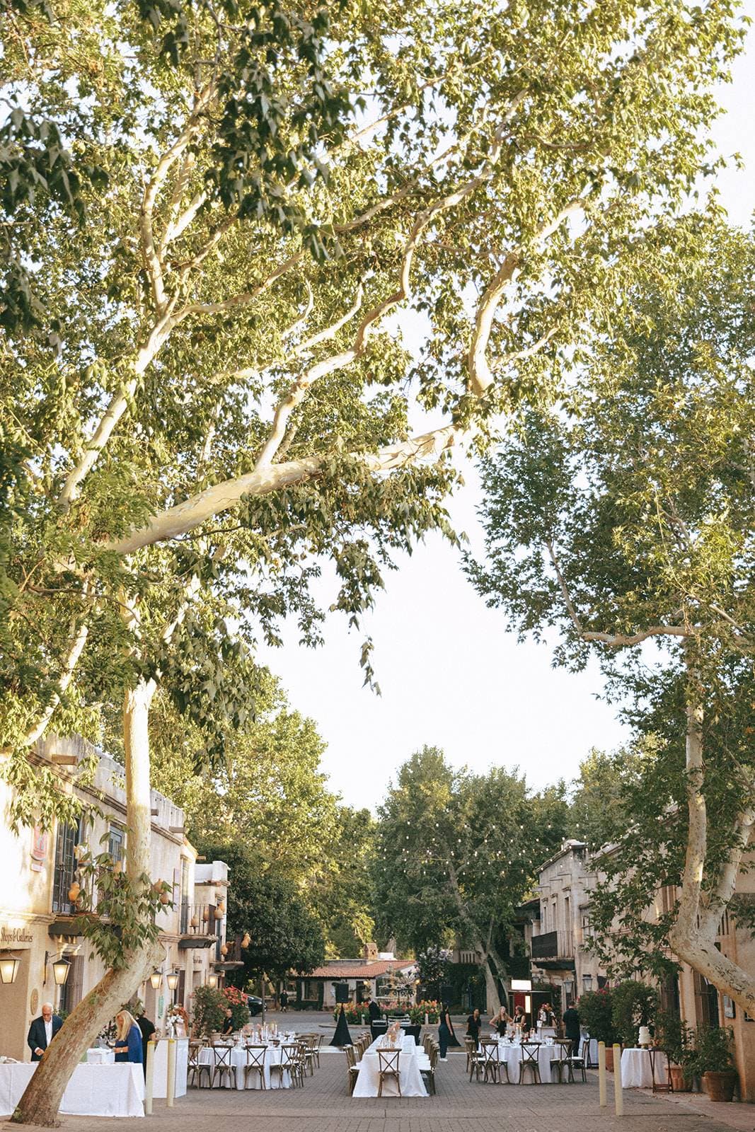 Reception tables set beneath the towering sycamores of the Tlaquepaque courtyard